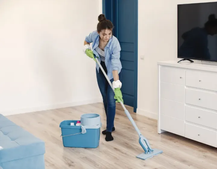 Femme de ménage Livet